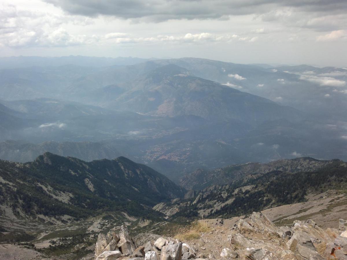 Gite Les Glycines Llupia Exterior foto